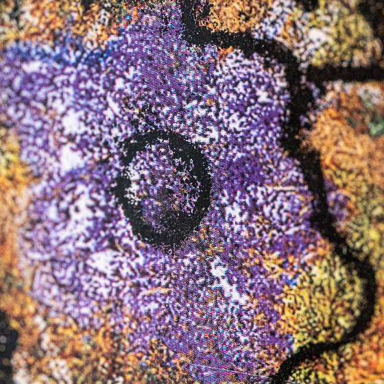 Silvina Martínez - La Santa de Pachaco (tríptico)