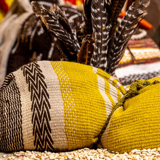 Fragmento de Santuarios / Rituales del tiempo de Silvina Martínez