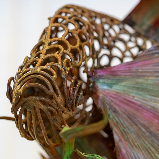 Pez Beta, escultura de Oscar Fontalvo