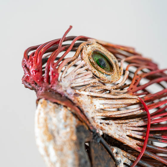 Guacamayo, escultura de Oscar Fontalvo