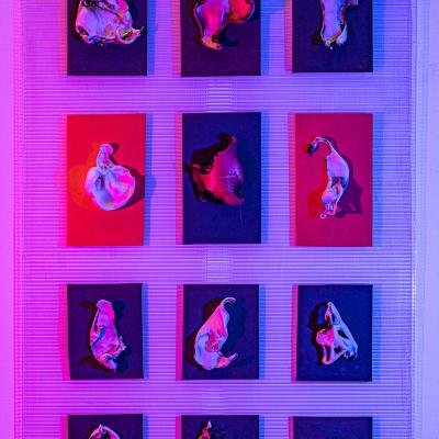  Personajes / Miniesculturas